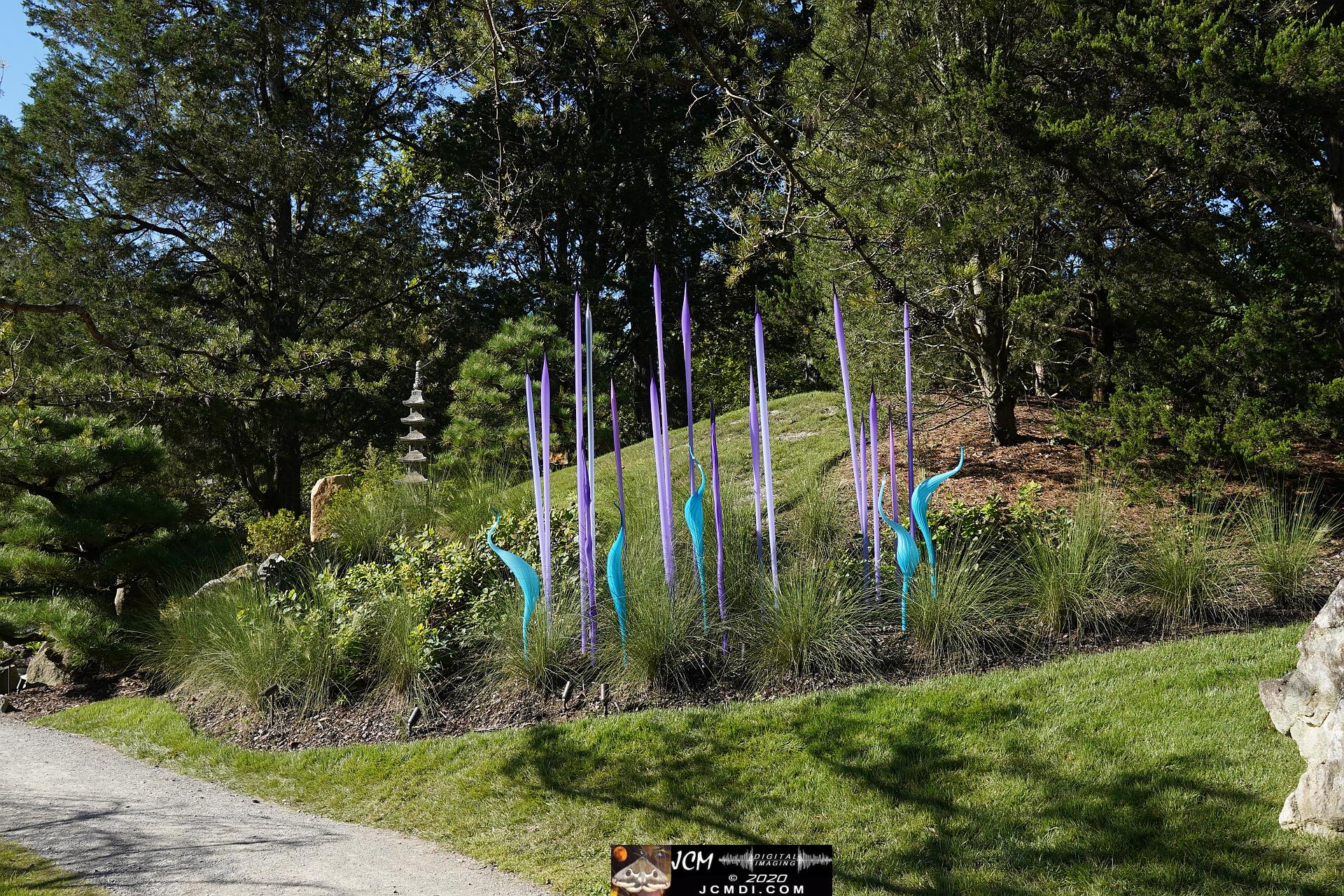 20200930 CheekWood Chihuly - Blue and violet reeds